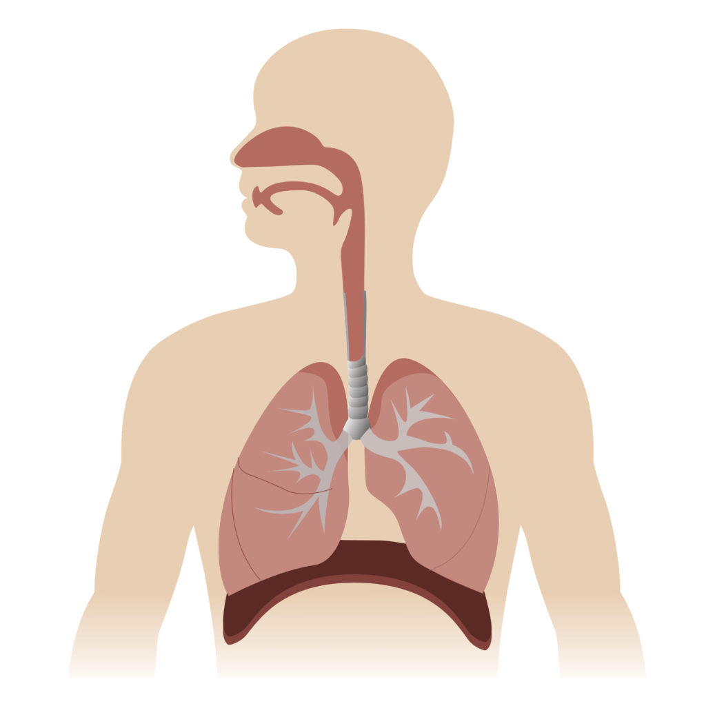 Inhaled drug delivery | Springboard